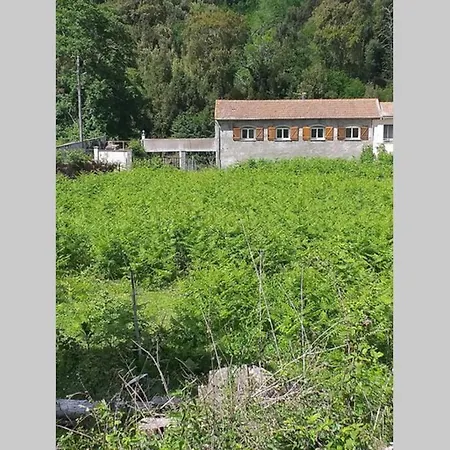 Ferienhaus Maison F4 Bord De Riviere Dans Un Hameau Du Village De En Haute Corse Dix Min De La A Folelli